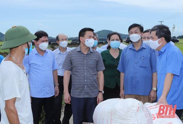 Đồng chí Bí thư Tỉnh ủy Đỗ Trọng Hưng kiểm tra, chỉ đạo công tác phòng, chống bão Conson tại huyện Hoằng Hóa và TP Sầm Sơn