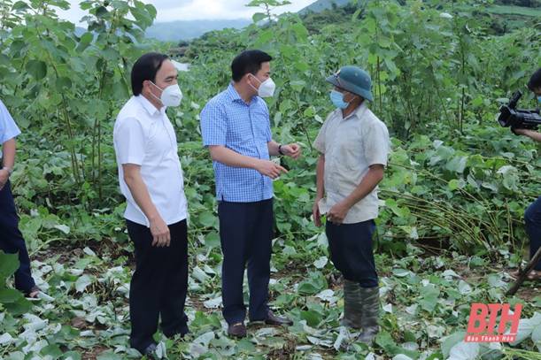 Description: Xây dựng và phát triển Cẩm Thủy đến năm 2025 trở thành huyện đạt chuẩn nông thôn mới