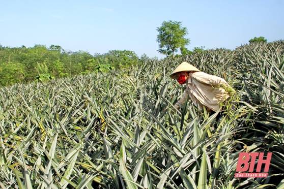 Xã Lộc Thịnh nỗ lực về đích nông thôn mới
