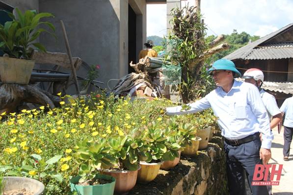 Xây dựng nông thôn mới ở Quang Chiểu