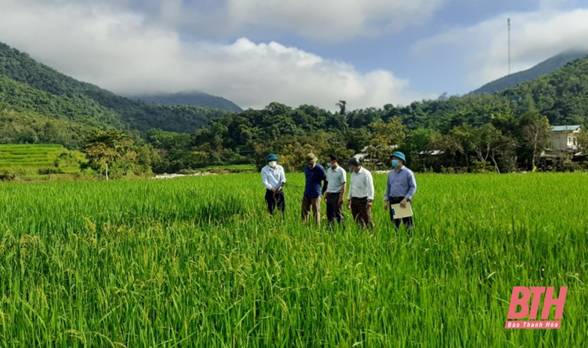 Xây dựng nông thôn mới ở Quang Chiểu
