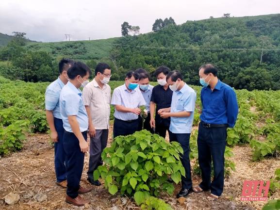 Giám sát việc thực hiện tích tụ, tập trung đất đai cho sản xuất nông nghiệp tại huyện Cẩm Thủy