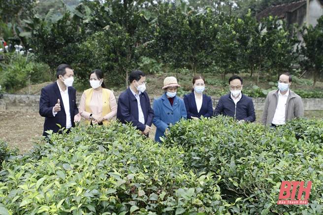 Xã Cát Tân hoàn thành các tiêu chí xây dựng nông thôn mới