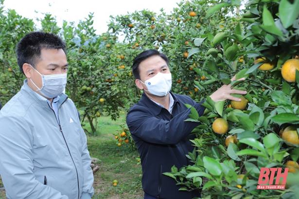 Phát triển huyện Như Xuân xứng đáng với tiềm năng, lợi thế, truyền thống văn hóa, lịch sử của quê hương