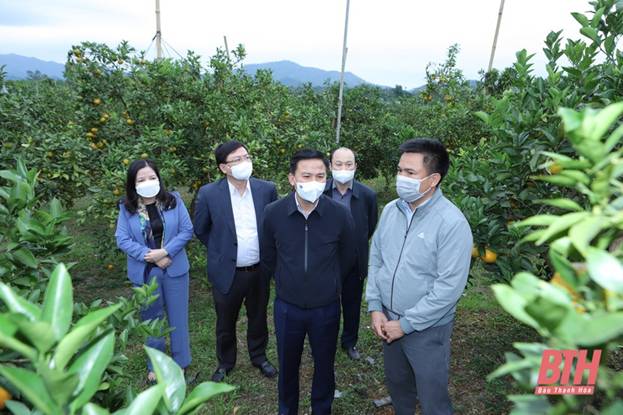 Phát triển huyện Như Xuân xứng đáng với tiềm năng, lợi thế, truyền thống văn hóa, lịch sử của quê hương
