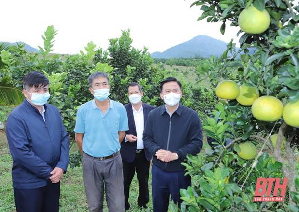 Phát triển huyện Như Xuân xứng đáng với tiềm năng, lợi thế, truyền thống văn hóa, lịch sử của quê hương