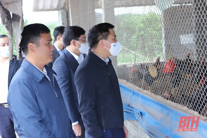 Phát triển huyện Như Xuân xứng đáng với tiềm năng, lợi thế, truyền thống văn hóa, lịch sử của quê hương