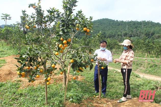 Thẩm định mức độ đạt chuẩn NTM các xã Cẩm Thành và Cẩm Quý