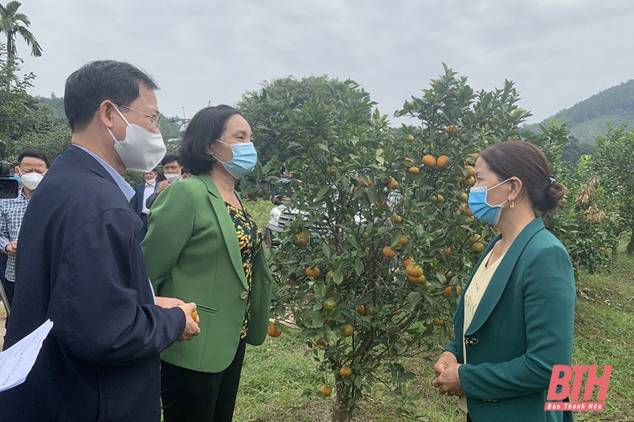 Thẩm định nông thôn mới cho các xã tại huyện Hà Trung