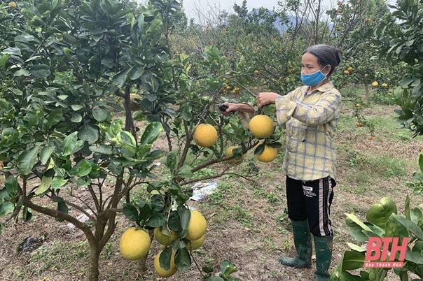 Thẩm định nông thôn mới cho các xã tại huyện Hà Trung