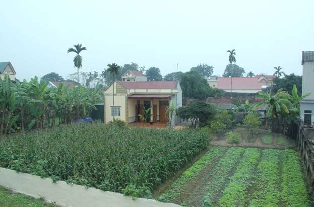 https://i.baothanhhoa.vn/news/2201/156d0104431t2026l1-img-7578.jpg