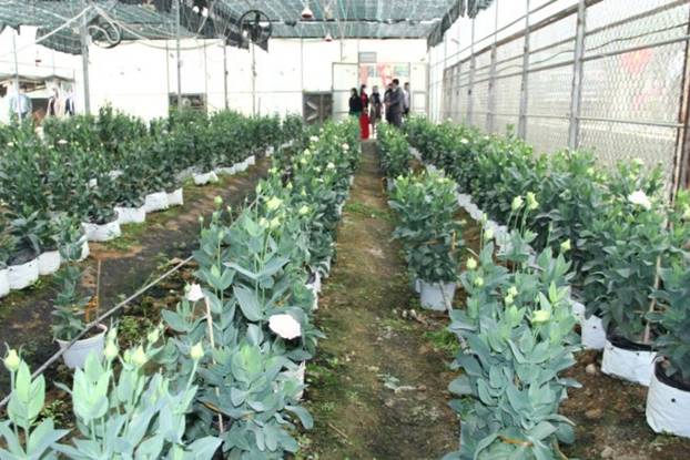 https://i.baothanhhoa.vn/news/2201/156d0104930t8046l3-img-7592.jpg