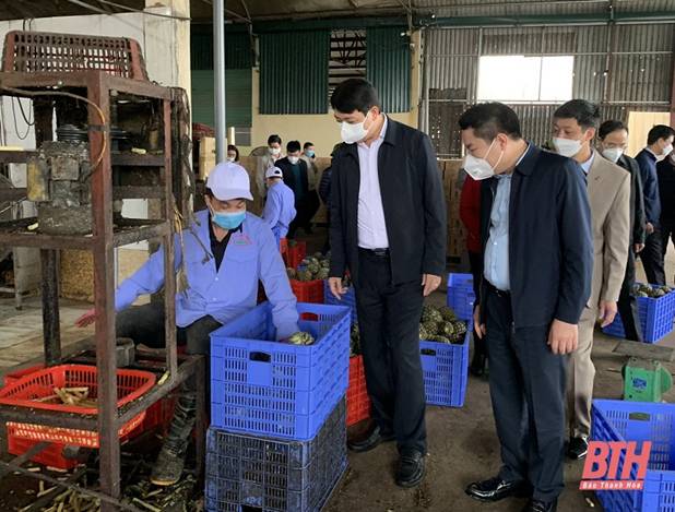 Phó Chủ tịch UBND tỉnh Lê Đức Giang kiểm tra tình hình sản xuất tại huyện Nông Cống