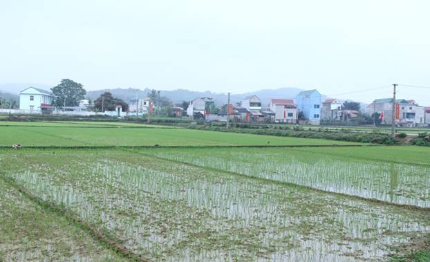 Thẩm định đạt chuẩn nông thôn mới cho xã miền núi Cẩm Yên