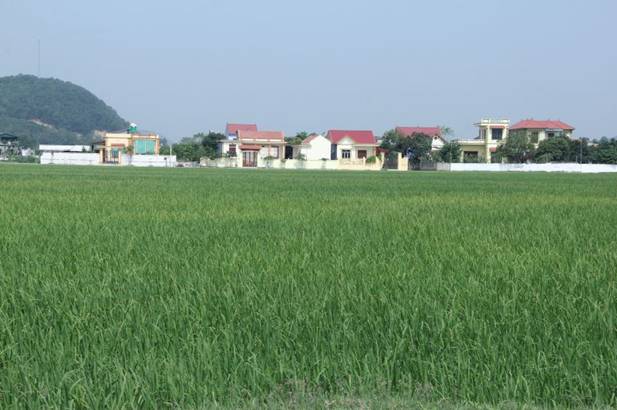 Thẩm định đạt chuẩn Nông thôn mới cho 3 xã cuối cùng của huyện Hậu Lộc
