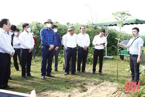 Đánh giá kết quả thực hiện cơ chế, chính sách phát triển cây gai xanh nguyên liệu trên địa bàn tỉnh Thanh Hóa