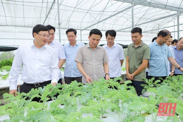 Nông Cống cần bứt phá để phát triển nhanh hơn, mạnh mẽ hơn, bền vững hơn, phấn đấu trong nhóm các huyện dẫn đầu của tỉnh