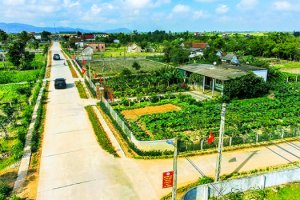 Bộ tiêu chí quốc gia về nông thôn mới giai đoạn 2026-2030