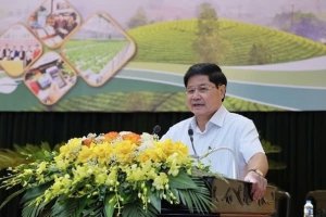 Bàn hướng đột phá cho kinh tế VAC