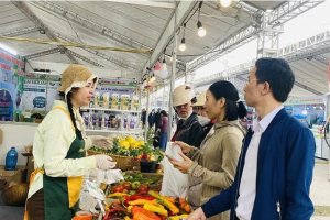 Hệ sinh thái sản phẩm OCOP xứ Thanh - liên kết để vươn xa
