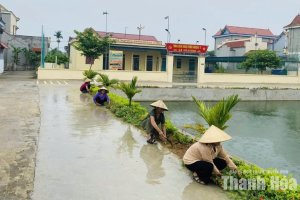 Nâng chất lượng các tiêu chí nông thôn mới