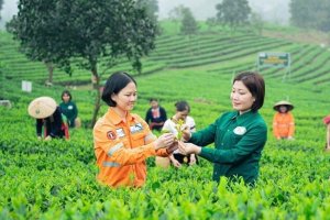 Việt Nam đề xuất xây dựng mạng lưới sản phẩm OCOP toàn cầu